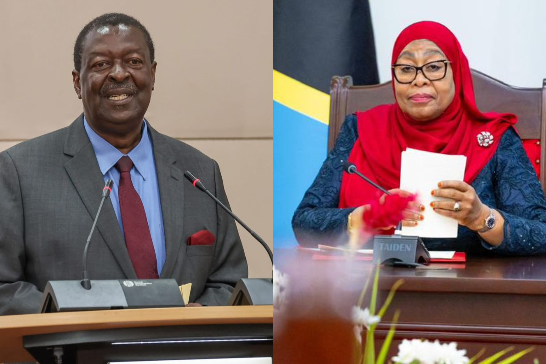 photocollage of Musalia Mudavadi and President Samia Suluhu.